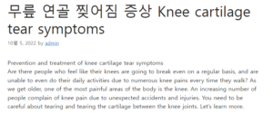 무릎 연골 찢어짐 증상